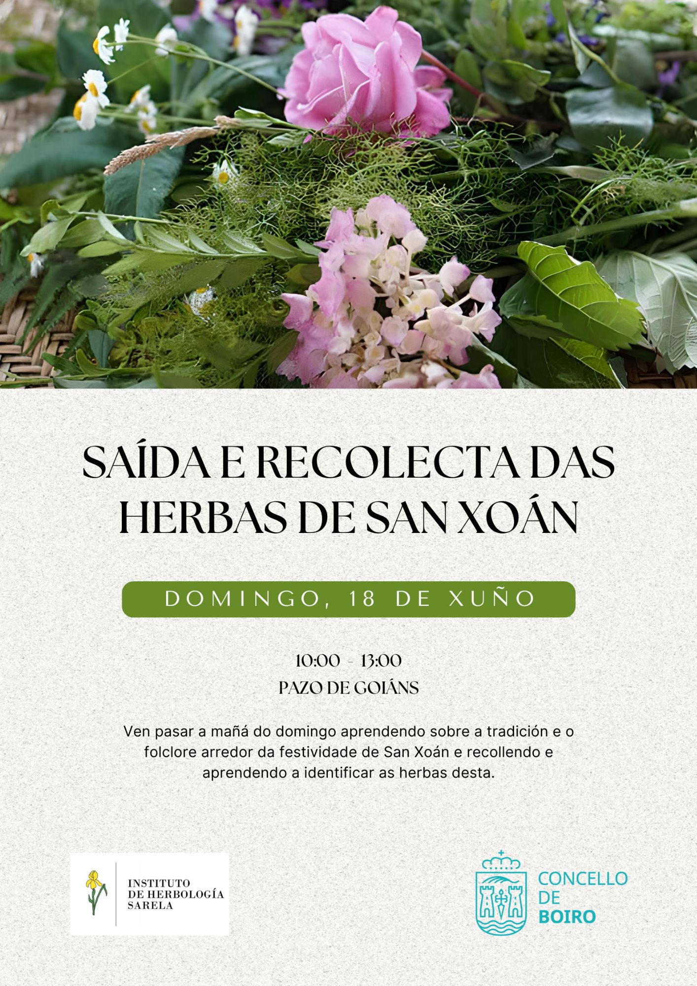 Xornada de recoñecemento e recolección de herbas de San Xoán | Concello de Boiro
